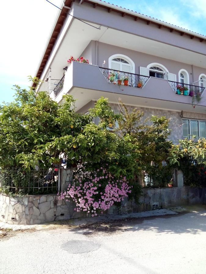 Vonitsa Loft Apartment 1 Екстериор снимка